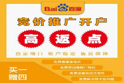 百度推广实战案例：成功之路
