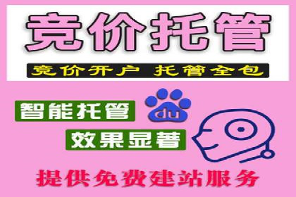 百度推广托管的成功策略：多角度解析案例